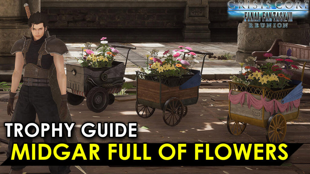 FFCCR-Midgar Full of Flowers